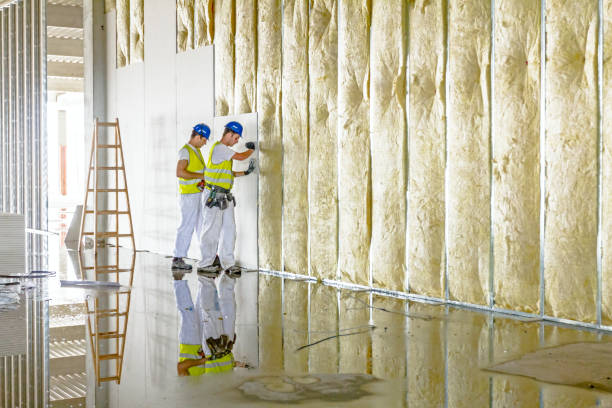 Best Insulation for Specific Applications in Schoolcraft, MI